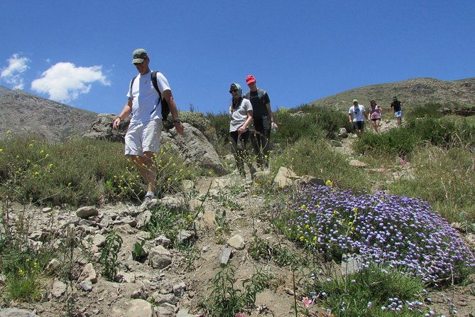 hiking-tour-in-the-andes-mountains-half-day-trip-from-santiago