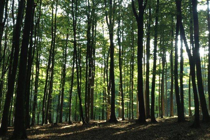 hiking-tour-in-the-small-carpathians-in-the-track-of-forest-people