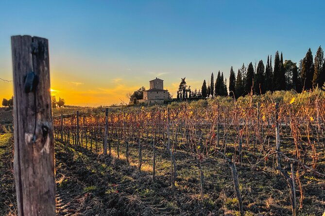 hiking-wine-tour-chianti-classico-3-organic-wineries-and-lunch