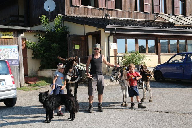 hiking-with-donkeys