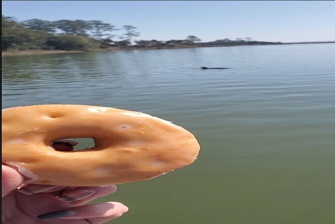 hilton-head-morning-dolphins-donuts-cruise-semi-private