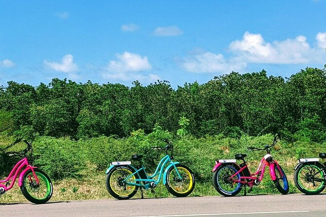 historic-city-fort-and-beach-e-bike-tour