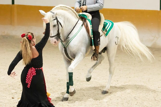 horse-and-flamenco-show-in-malaga-with-dinner-3