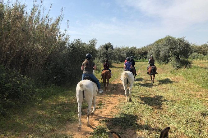 horse-riding-excursion-from-seville