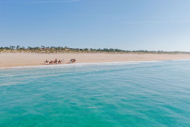 horse-riding-on-the-beach-with-private-transfer-from-lisbon