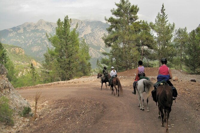 horse-riding-tour-in-bodrum-with-hotel-pick-up