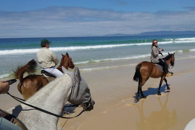 horse-riding-tour-on-the-beach-lisbon-region