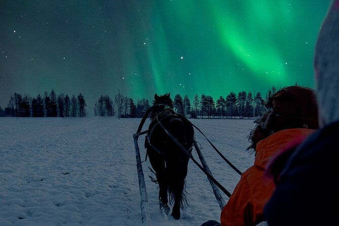 horse-sleigh-ride-under-the-night-sky-in-apukka-resort-rovaniemi