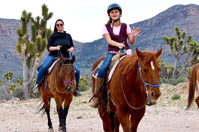 horseback-ride-joshua-tree-forest-buffalo-lunch-singing-cowboy-2