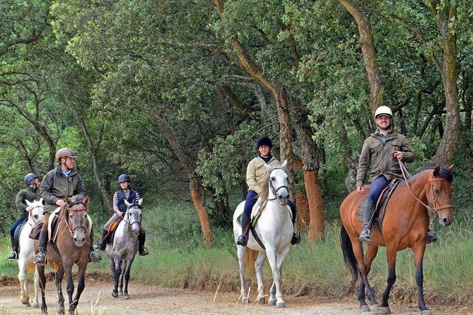 horseback-riding-4-options-mountain-lesson-ring-beach-2hours