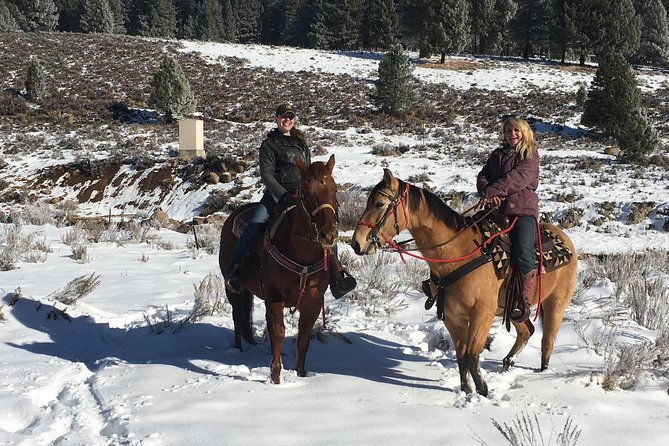 horseback-riding-adventure-from-reno