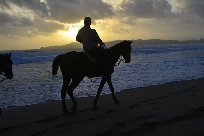 horseback-riding-at-sunrise-on-the-beach-of-punta-cana