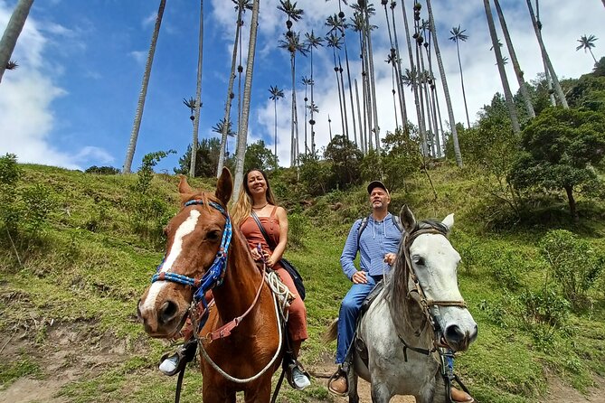 horseback-riding-coffee-farms-forest-and-river-boqueron