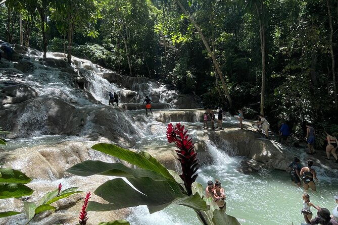 horseback-riding-swimming-and-dunns-river-from-ocho-rios