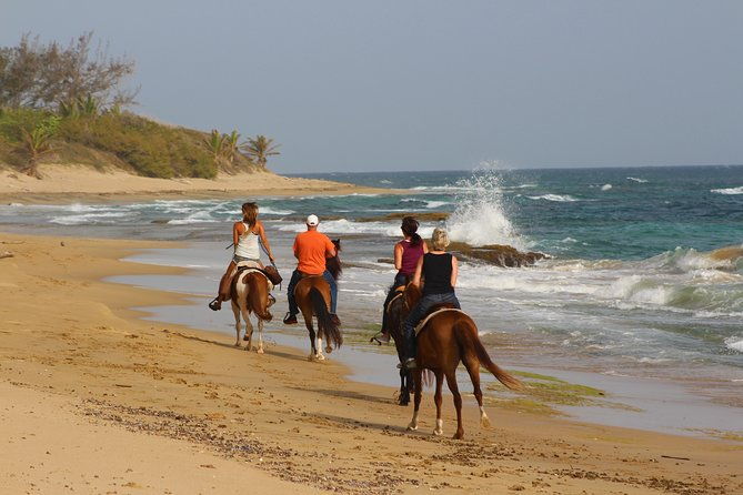 horseback-riding-through-secluded-beaches-and-tropical-forests