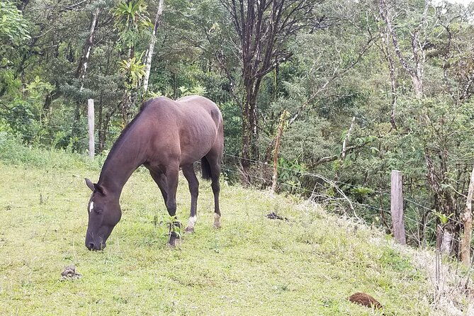 horseback-riding-tour-2