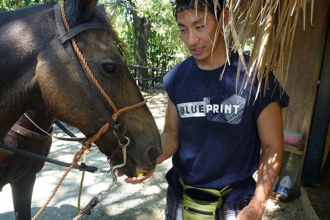 horseback-riding-tours-by-the-beach