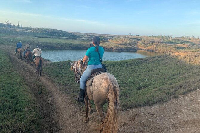horseback-riding-wariruri-beach-tour-in-aruba