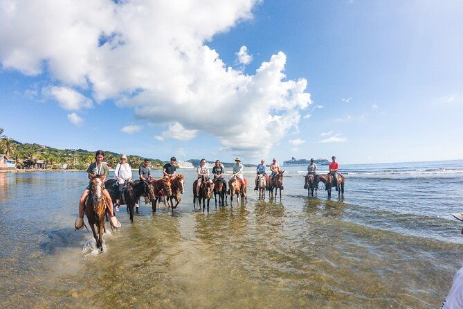 horseback-riding-west-end-choco-factory-west-bay-day-pass-paradise-beach