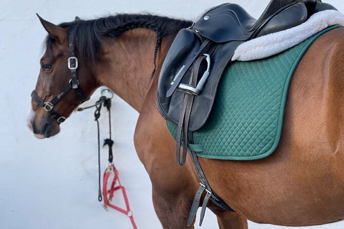 horseback-riding-with-certified-guide