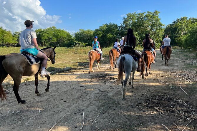 horseback-special-negrils-beach-ride-n-swim-with-free-photos-videos