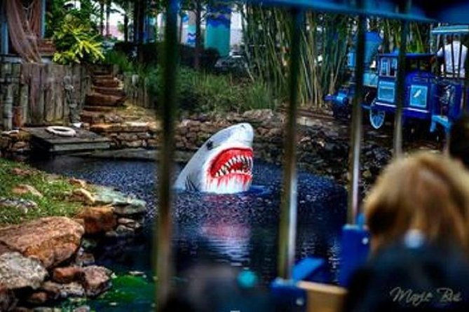 houston-city-tour-and-downtown-aquarium-all-rides-pass-2