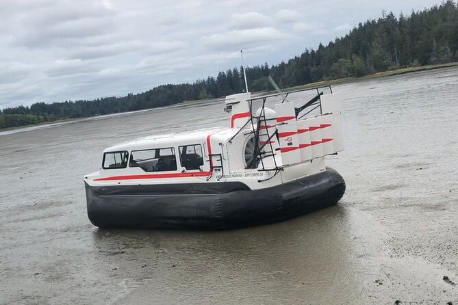 hover-craft-scenic-tour-in-talkeetna-alaska