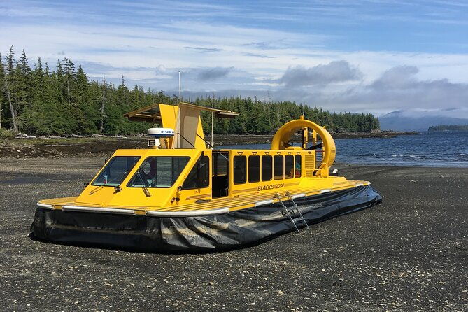 hovercraft-eco-adventure-and-wildlife-viewing
