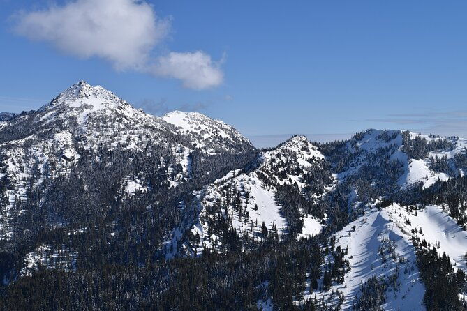 hurricane-ridge-guided-snowshoe-tour-in-olympic-national-park-2