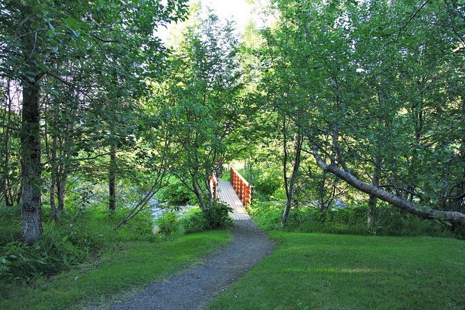 husavik-walking-tour-2