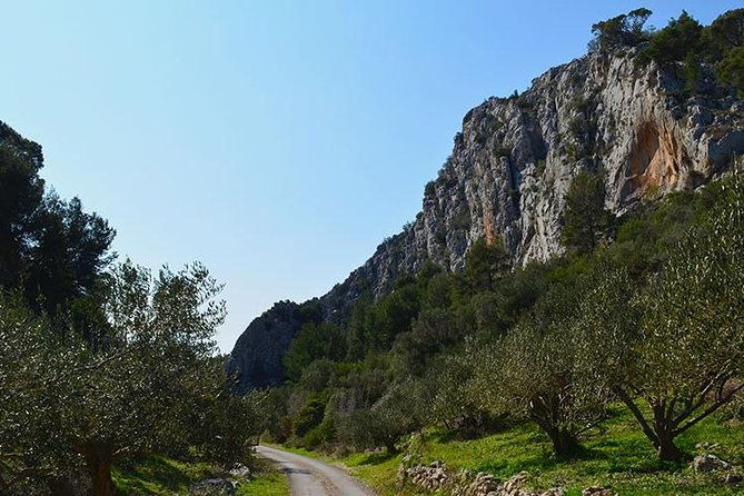 hvar-lavender-tour-2