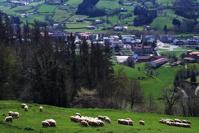 idiazabal-cheese-tour-from-san-sebastian