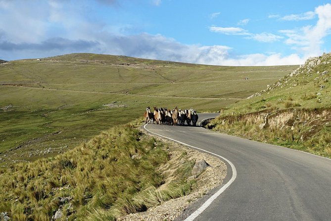 inca-hot-spring-day-tour