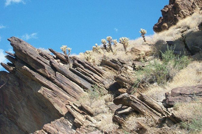 indian-canyons-hiking-tour-by-jeep-from-palm-springs-2