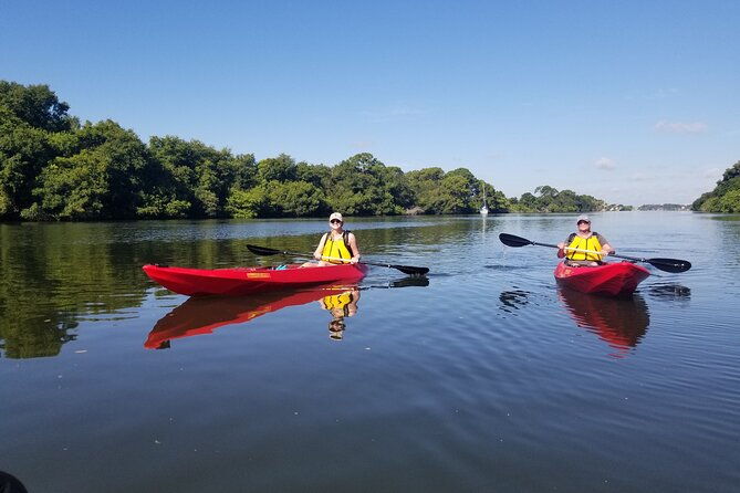 indian-river-clear-bottom-kayak-or-paddleboarding-manatee-and-dolphin-tour