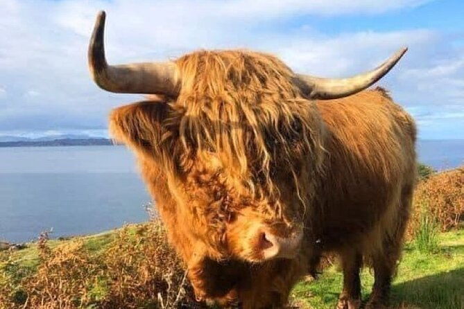 invergordon-cruise-ship-tour-dunrobin-castle-dornoch-distillery