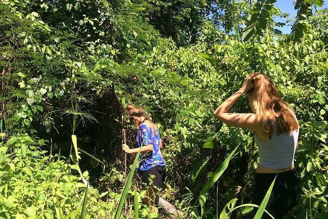 iquitos-in-the-jungle-2-days-1-night