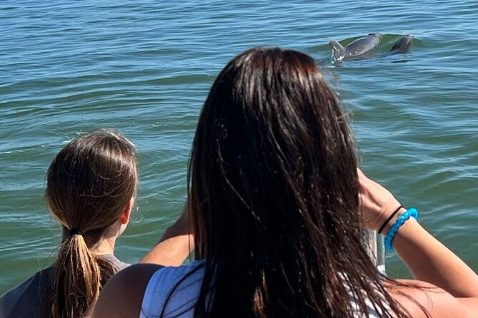 island-paradise-dolphin-shelling-birding-eco-boat-tour