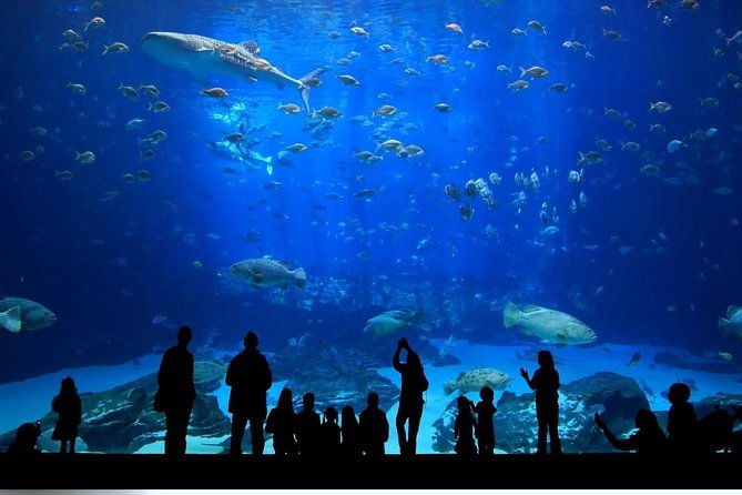 istanbul-aquarium-and-aqua-florya-independent-shopping-trip-2