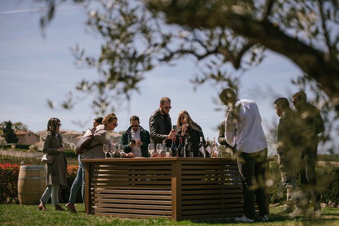 istria-wine-tour-from-rijeka-and-opatija