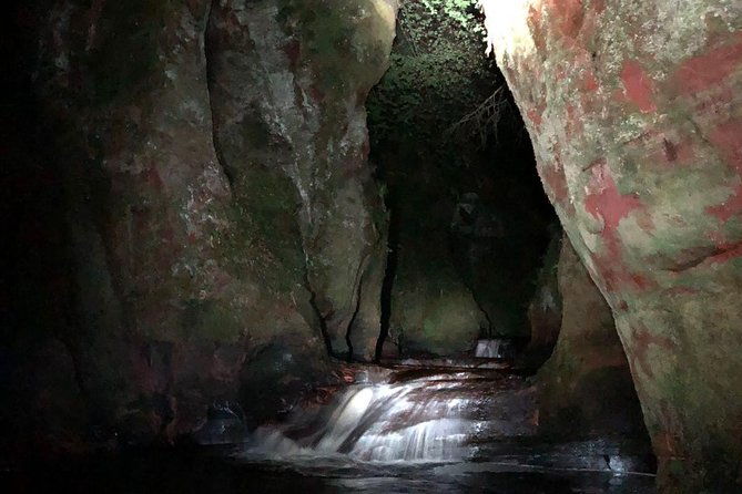 join-the-dark-side-of-magical-nature