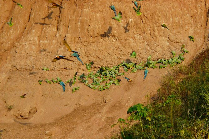 jungle-eco-jungle-and-adventure-4-days-3-nights