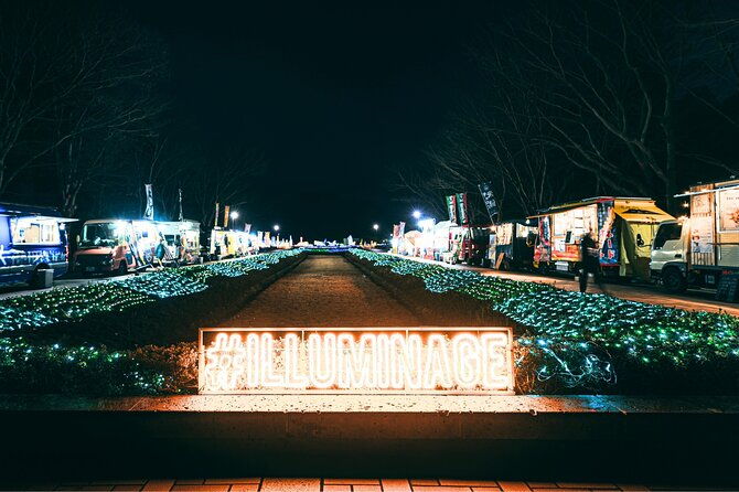 kagoshimas-largest-winter-light-display