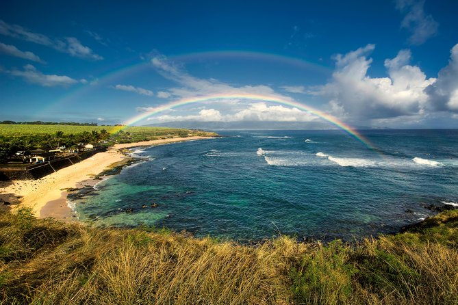 kahului-shore-excursion-private-tropics-of-maui-rainforest
