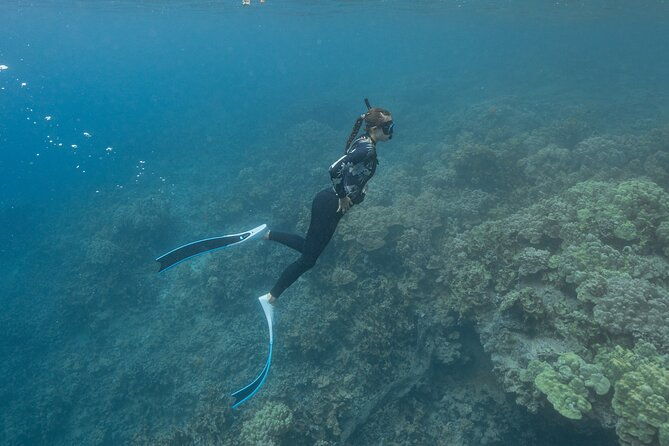 kaimana-kealakekua-bay-captain-cook-adventure