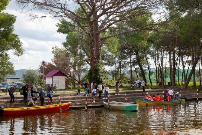 karavasta-lagoon-day-trip-from-durres-boat-tour-wildlife-beach
