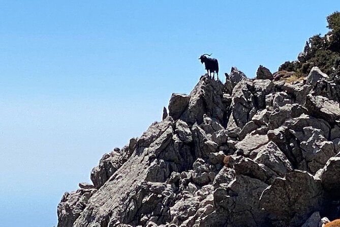 karpathos-kali-limni-hike-to-the-highest-peak-of-the-dodecanese