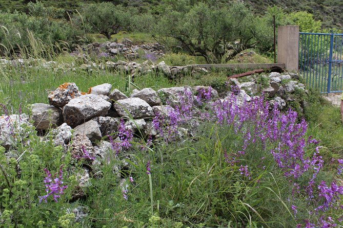 karpathos-pini-to-stes-mountain-village-guided-hike