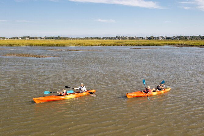 kayak-activity-and-sightseeing-in-dolphin-safari