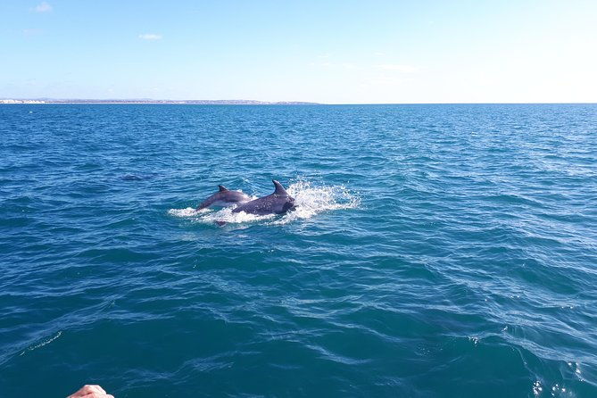 kayak-algarve-tour-benagil-by-diamond-tours-2